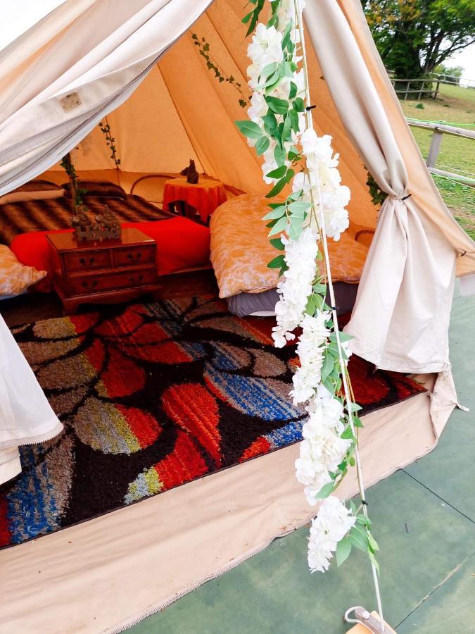 Walnut Tree Glamping 호텔 Sturry 외부 사진