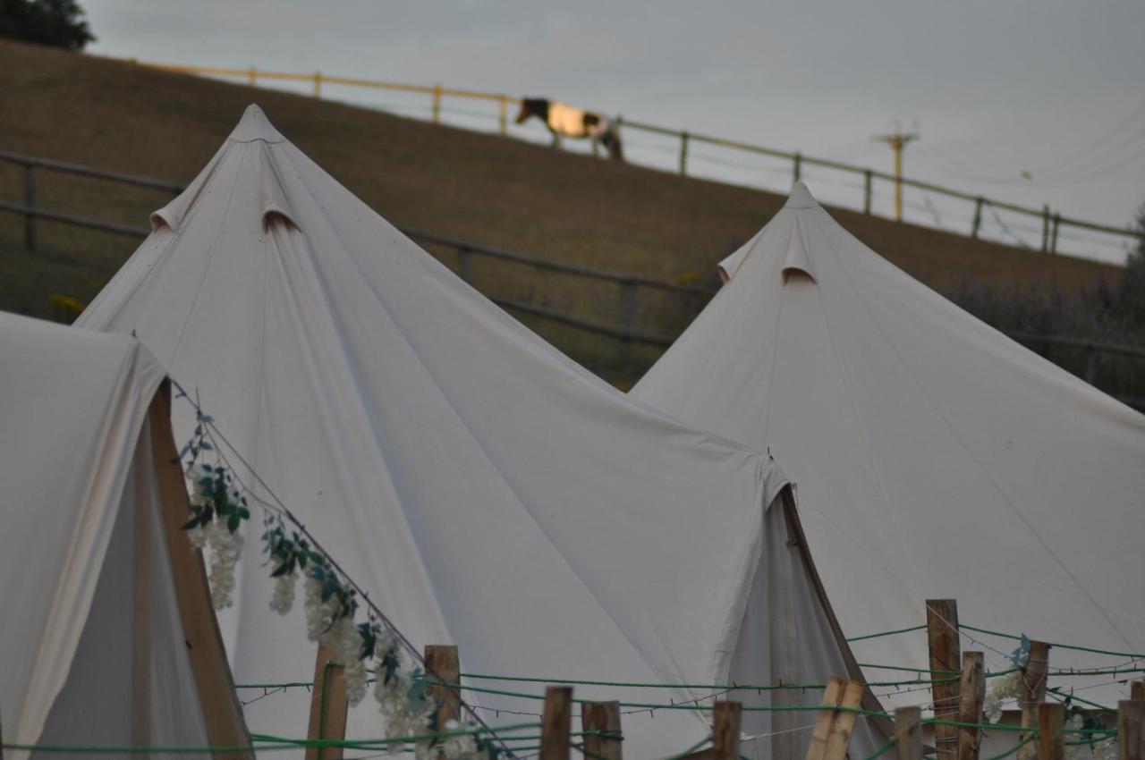 Walnut Tree Glamping 호텔 Sturry 외부 사진